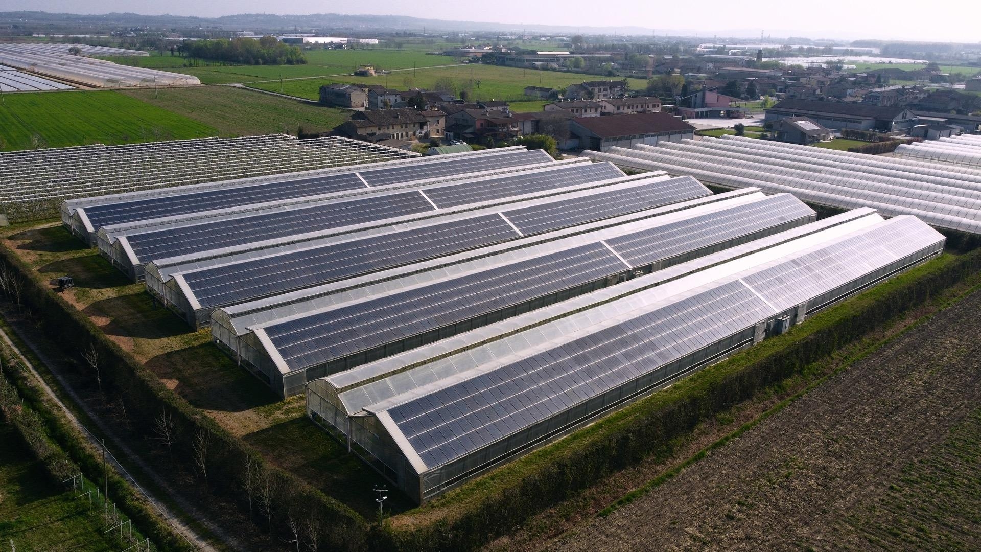 Green Houses in Uganda